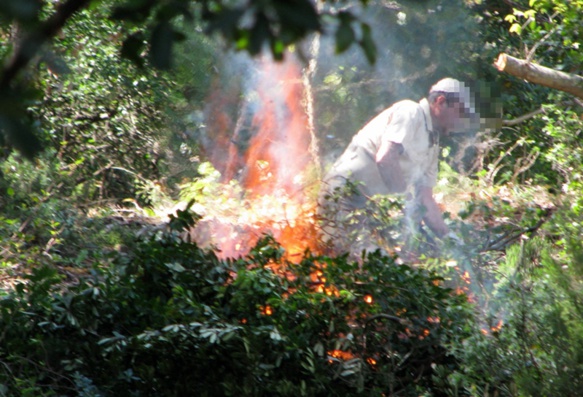 Brûlage forestier dans le massif des Maures. Une pratique très réglementée, néanmoins chacun fait un peu comme il veut... (photo MN)