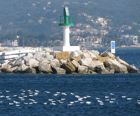 La Ciotat, axe du dialogue artistique et culturel inter-roman ? (photo MN) La Ciotat, axe du dialogue artistique et culturel inter-roman ? (photo MN)