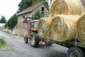 Les territoires ruraux ont beaucoup voté pour Marine Le Pen, mais aussi pour Jean-Luc Mélenchon, vainqueurs haut-la-main dans les territoires délaissés (photo MN) Les territoires ruraux ont beaucoup voté pour Marine Le Pen, mais aussi pour Jean-Luc Mélenchon, vainqueurs haut-la-main dans les territoires délaissés (photo MN)