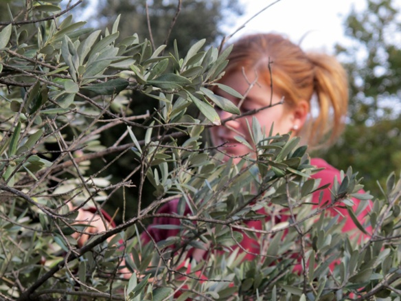 Avec les langues romanes, ce qui unit le mieux les Européens du sud, c'est certainement le vin et l'huile d'olives. Le Fest'Aquí vous y intéressera en connaisseur (photo MN)