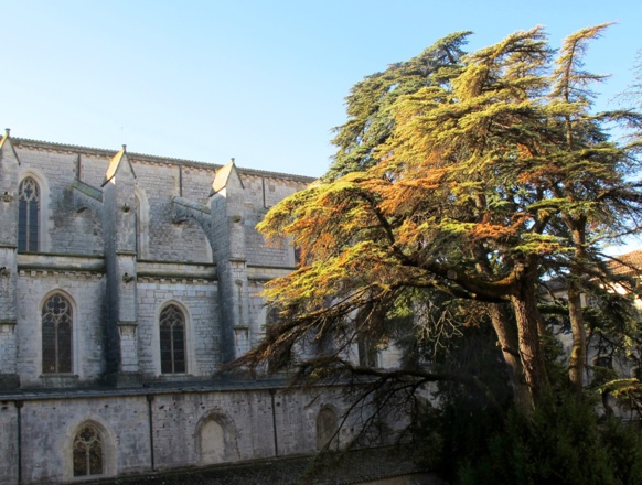 Sainte-Baume, un patrimoine matériel évident, mais quid de l'immatériel ? doit-il être effacé dès que les associations baissent la garde ? (photo MN)