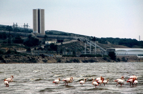 Mis en cause par l'Etang Nouveau, les rejets d'eau douce d'EDF à partir de cette centrale à Saint-Chamas (photo MN) Mis en cause par l'Etang Nouveau, les rejets d'eau douce d'EDF à partir de cette centrale à Saint-Chamas (photo MN)