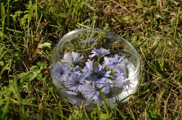 Photo FFB DR Photo FFB DR