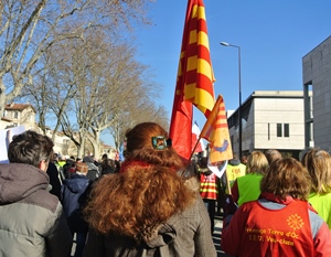 La plupart des professeurs d'occitan langue d'oc avaient choisi de "faire poids" à Avignon pour la grève nationale de mardi (photo XDR)