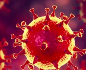 Covid 19 (XDR) Covid 19 (XDR)