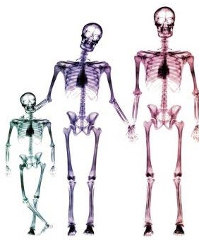 La crainte de l'ASN : un nucléaire ludique à la portée de tous (Photo XDR) La crainte de l'ASN : un nucléaire ludique à la portée de tous (Photo XDR)