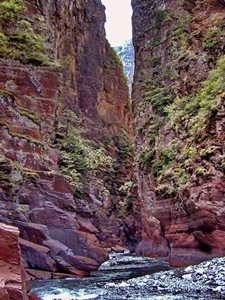 Les Gorges de Daluis (06) illustrent la qualité de la biodiversité provençale. Elles viennent d'être déclarées "Réserve Naturelle" (photo XDR) Les Gorges de Daluis (06) illustrent la qualité de la biodiversité provençale. Elles viennent d'être déclarées "Réserve Naturelle" (photo XDR)