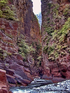 Les Gorges de Daluis (06) illustrent la qualité de la biodiversité provençale. Elles viennent d'être déclarées "Réserve Naturelle" (photo XDR)