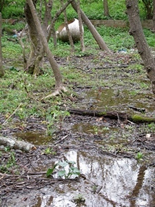 Lieu dit "Les Moullières" à La Seyne (83). L'occitan prévient qu'on aura le pieds dans l'eau ! (photo MN)