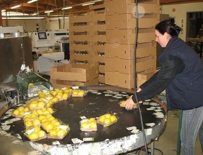 La société s'était fait une spécialité des produits bio exotiques (photo MN) La société s'était fait une spécialité des produits bio exotiques (photo MN)