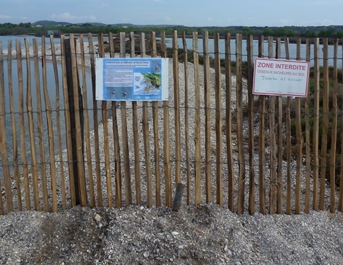 Apparemment le consensus n'était pas tout à fait atteint sur ce lieu de passage où les chiens pouvaient causer des dégâts (photo