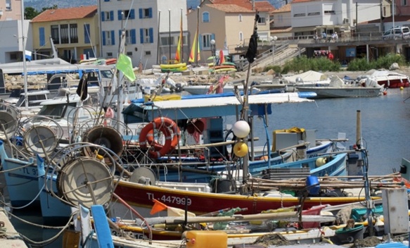 Face aux Sablettes le port de Saint-Elme fut un des hauts lieux de la pêche artisanale. Il en reste quelque chose...dans la langue occitane (photo MN)