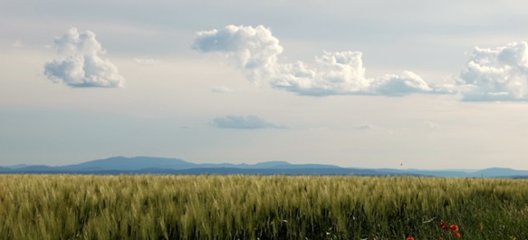 Una plana, de sèra (photo Daumas DR)