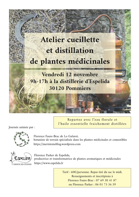 ... Et là c'est le 12 novembre à Pommiers (30) ... Et là c'est le 12 novembre à Pommiers (30)