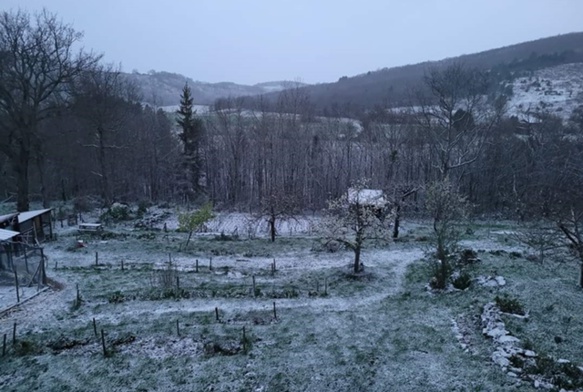 Ce matin, Tarn et Garonne (photo D Cantournet DR) Ce matin, Tarn et Garonne (photo D Cantournet DR)
