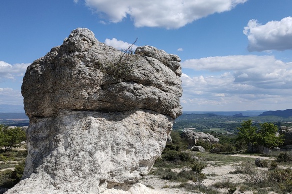 Voici plusieurs millions d'années l'océan noyait l'actuelle Forcalquier, à cent km du littoral actuel. Ce qui fut sera ? (photo MN)