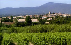 Derrière les vignobles il s'en passe...(photo XDR)