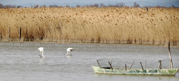 Un observatòri per aparar la biodiversitat en Provença