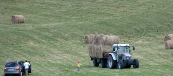 Moissons dans le Devoluy. L'utilisation d'eau usée dans l'agriculture est hyper réglementée (photo MN)