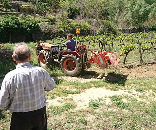 « Le cheval ne parlait pas français ! ...le tracteur, la langue, lui il s’en fout » La modernité rurale aurait contribué à effacer la langue d’usage d’alors (photo MN)