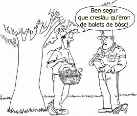Evidemment que je pensais que c'étaient des champignons !... Evidemment que je pensais que c'étaient des champignons !...