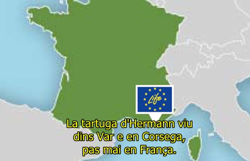 La tartuga ditz son aparament en occitan La tartuga ditz son aparament en occitan