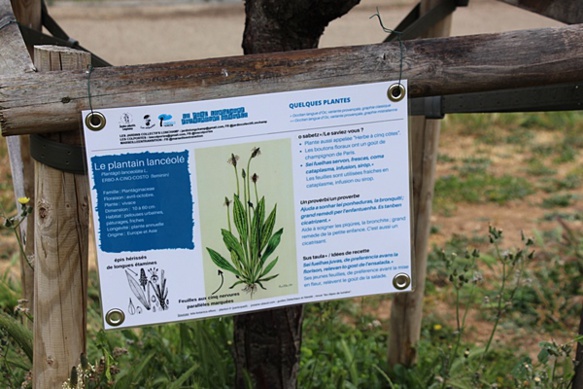 Un exemple de fiche pédagogique des Jardins de Longchamp (photo CF DR)