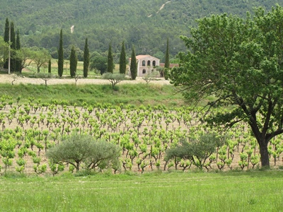 Dans quelle mesure les fonds structurels boosteront-ils le développement si l'installation d'entreprises, d'agriculteurs et de particuliers se heurte à l'intense spéculation foncière et immobilière en Provence ? (photo MN)