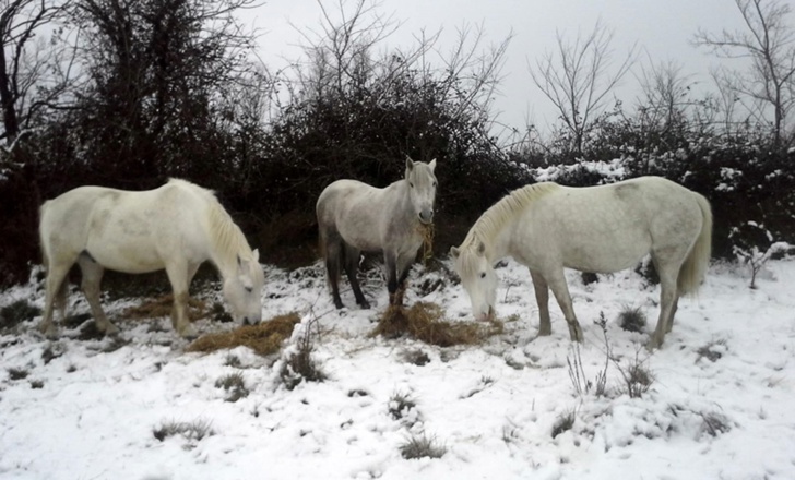 photo Gael Hemery DR photo Gael Hemery DR