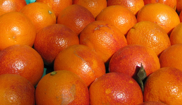 Tout ce qui est orange et se mange doit protéger la macula (photo MN)