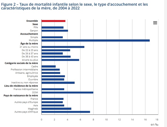 l'imigracion africana podriá explicar per part l'auça de mortalitat infantile segon l’Insee