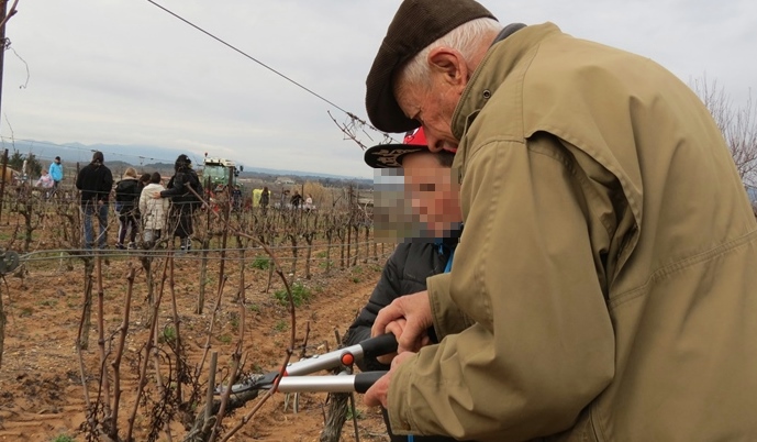 Gaston : " Alors, ici on laisse un oeil, là deux, et puis là..." (photo MN)