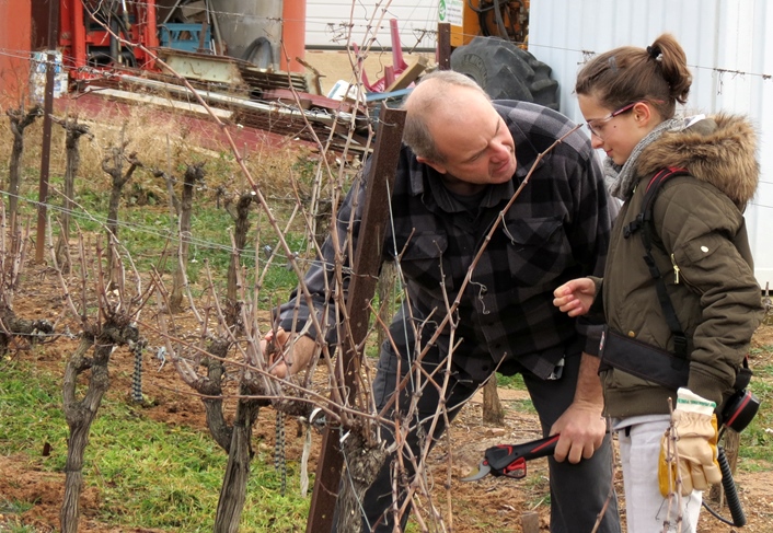 Lunettes et protection...Frédéric ne néglige pas les règles de sécurité dans ses explications du métier de vigneron (photo MN)