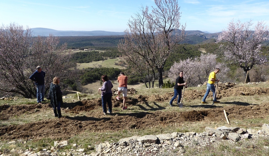 Apprendre ensemble à planter, greffer, entretenir, un gage de la conservation de variétés anciennes fruitières (photo PNR Verdon DR)