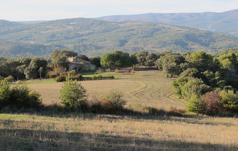 Territoires identifiés comme enjeux forts pour la biodiversité provençale, les piémont collinaires occupés à la fois par l'agriculture et par la nature (photo MN)