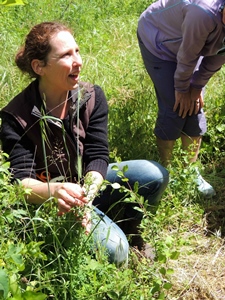 Avec Florence Faure-Brac, jardins et collines deviennent la pharmacie des femmes (Photo FFB DR)