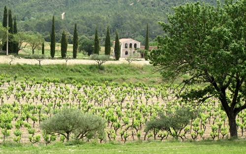 Territoires de projets à échelle humaine et souvent ruraux, les Pays font du "hors piste" européenne et la création des Métropole pourrait les marginaliser encore plus. Ici Correns (83) village dédié à la viticulture biologique et à la création musicale (photo MN)