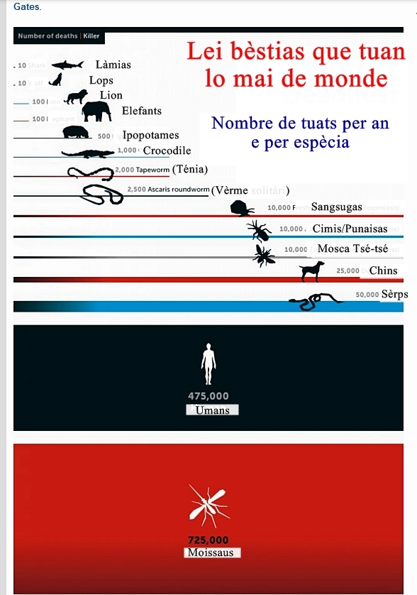 D'après une infographie en anglais de la Fondation Bill Gates (XDR)