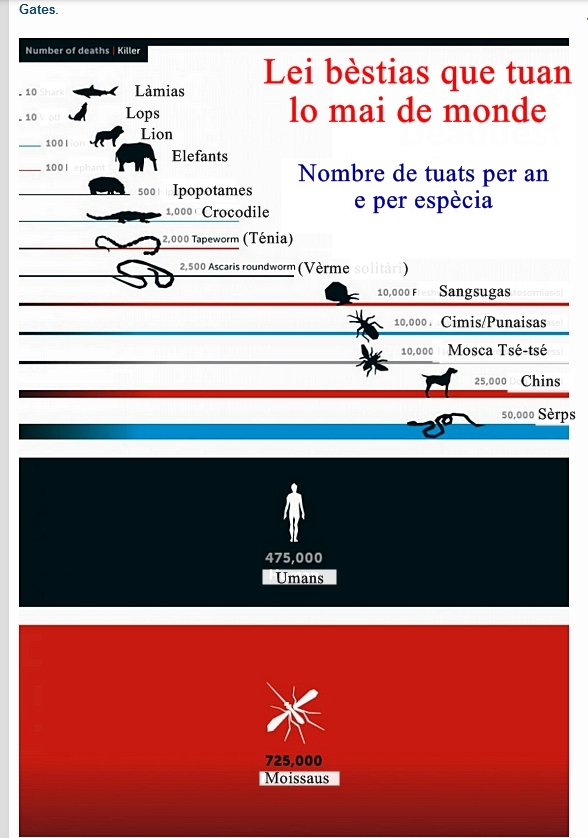 D'après une infographie en anglais de la Fondation Bill Gates (XDR) D'après une infographie en anglais de la Fondation Bill Gates (XDR)