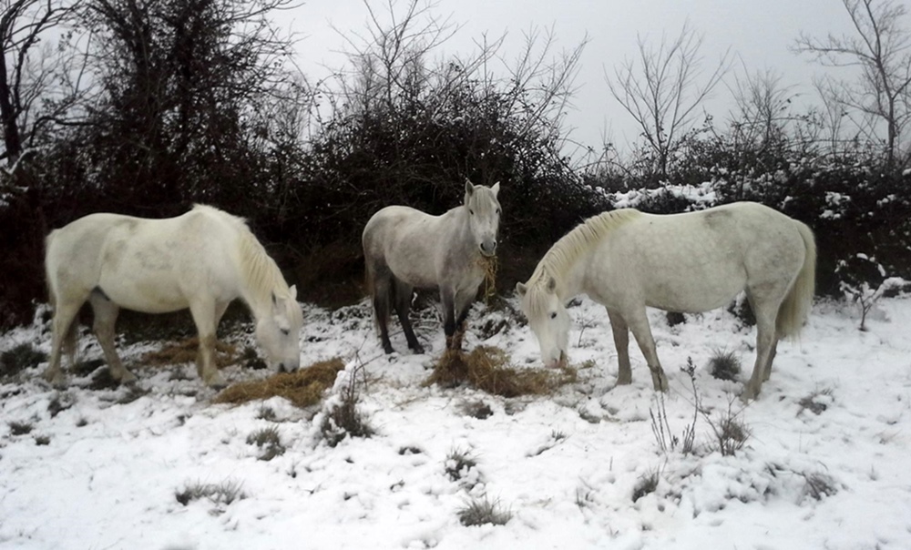 photo Gael Hemery DR photo Gael Hemery DR