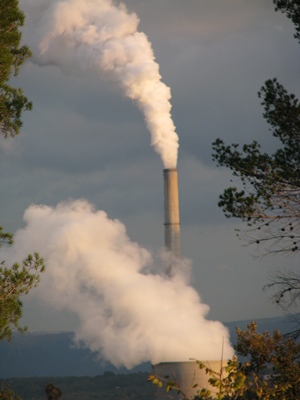 E.ON achètera au maximum 83 000 t de bois provençaux par an durant trois ans (photo MN)