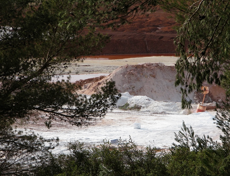 700 écoliers ont été invités à dessiner Mange Garri, et à donner leur sentiment. Ceux qui ont toujours vu le site pollué n'en avaient pas une appréciation négative (photo MN)