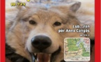 Aquò d'Aquí crie "au loup" ! Aquò d'Aquí crie "au loup" !