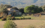 L'Agencia Regionala de la Biodiversitat es a grelhar L'Agencia Regionala de la Biodiversitat es a grelhar