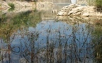 Tre 2050 la Provença aurà set Tre 2050 la Provença aurà set