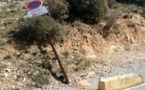 Una novèla sinhalisacien au Pargue dei Calancas Una novèla sinhalisacien au Pargue dei Calancas