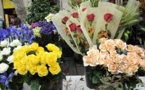 De flors « made in Var » per resistir au declin De flors « made in Var » per resistir au declin