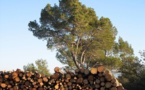 E.ON cromparà pas tant de bòscs provençaus E.ON cromparà pas tant de bòscs provençaus