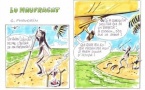 Lo Naufragat 2